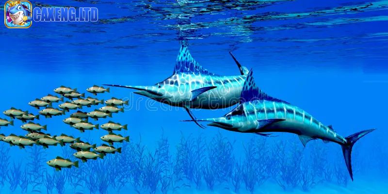 Những loài cá trong thế giới biển cả của Caxeng